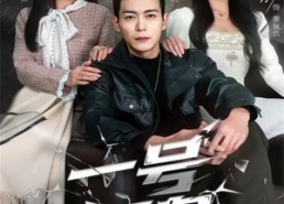 短剧《一号狂枭（90集）》高清短剧完整版免费看