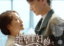 短剧《绝望主妇的霸气逆袭（92集）》超燃短剧在线高清观看