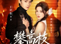 短剧《攀高枝（70集）》优质短剧免费在线追剧