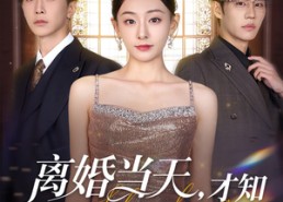 短剧《离婚当天才知心机死对头暗恋我十年（90集）》短剧全集免费高清看