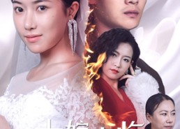 短剧《十嫁九悔（61集）》短剧完整版免费观赏