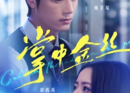 短剧《掌中金丝（60集）》短剧全集免费畅享观看