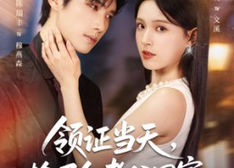 短剧《领证当天捡了个老公回家（81集）》热门短剧免费全集赏