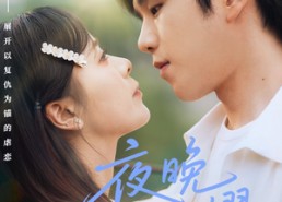 短剧《夜晚群星闪耀（70集）》短剧免费高清全集览