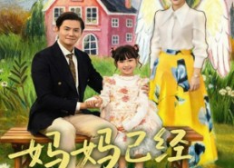 短剧《妈妈已经变成盒子了（80集）》超火短剧全集免费看