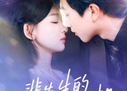 短剧《裴先生的小撩精（84集）》爆款短剧免费在线观