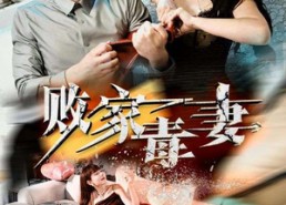 短剧《败家毒妻（32集）》精彩短剧在线畅快观