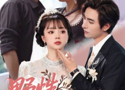 短剧《野性可驯（63集）》精彩短剧完整版在线赏