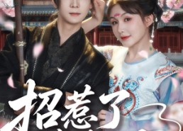 短剧《招惹了隐藏太子（81集）》短剧免费全集在线览