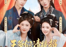 短剧《王爷们请接招（86集）》精彩短剧全集免费速看