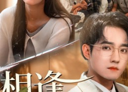 短剧《相逢却不识（77集）》精彩短剧免费在线播