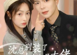 短剧《沈总别装了，你夫人也是大佬（86集）》短剧全集免费高清速看