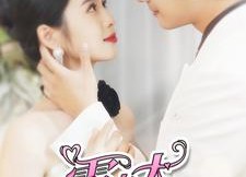 短剧《霍太太你马甲又掉了（90集）》爆款短剧免费高清看