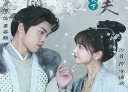 短剧《权宠天下：医妃要休夫（94集）》精彩短剧免费畅享全集