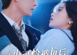 短剧《小可怜被坑后被大律师宠上天（77集）》免费短剧在线看不停