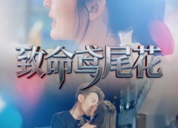 短剧《致命鸢尾花（60集）》短剧佳作在线免费品鉴