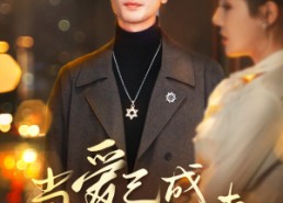 短剧《当爱已成往事（30集）》免费短剧无删减观看