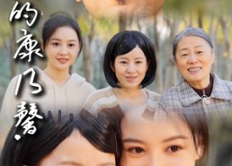 短剧《深秋的康乃馨（90集）》热门短剧全90集在线畅享