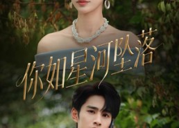 短剧《你如星河坠落（65集）》精彩短剧在线免费追