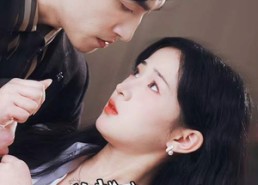 短剧《冰山总裁夫人带娃跑（89集）》短剧免费全集畅快看