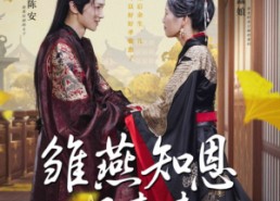 短剧《雏燕知恩报春来（36集）》短剧全集在线免费播