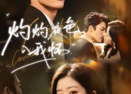 短剧《灼灼夜色入我怀（60集）》免费在线看短剧全集