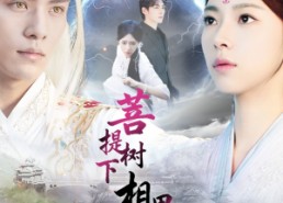 短剧《菩提树下相思烬（63集）》短剧高清全集免费播