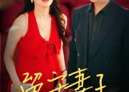 短剧《留守妻子的秘密（28集）》超火短剧免费在线览