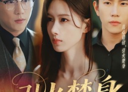 短剧《引火焚身（61集）》超火短剧在线免费赏完