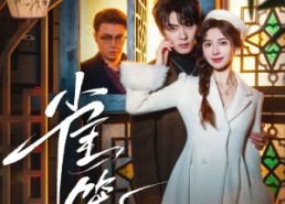 短剧《温驯的反骨＆雀笼（60集）》优质短剧全集在线赏鉴