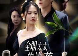 短剧《全职太太的逆袭（80集）》热门短剧高清完整播放