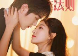 短剧《偏爱法则（81集）》短剧完整版免费观赏