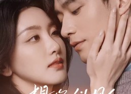 短剧《想你似风路过我（40集）》热门短剧免费在线览