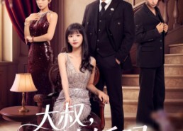 短剧《大叔结婚吗（82集）》优质短剧免费全集览