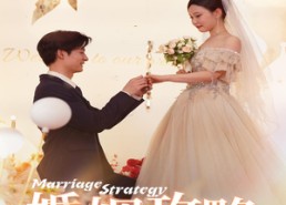 短剧《婚姻攻略之星光璀璨（32集）》短剧免费在线全集观映