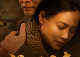 短剧《望北思南（49集）》短剧在线免费看全集