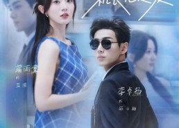 短剧《被迫闪婚其实冷面机长他超爱（77集）》热门短剧全集免费速览