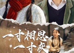 短剧《一寸相思一寸灰（43集）》热门短剧免费在线览