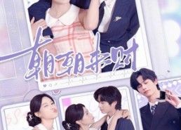 短剧《朝朝来财（60集）》超火短剧免费全集览