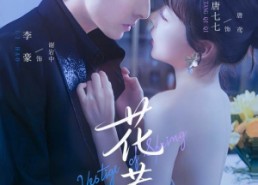 短剧《花惹（70集）》短剧免费全集畅快观看