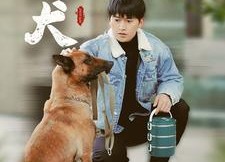 短剧《忠犬（34集）》短剧免费高清全集观看