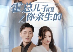 短剧《霍总儿子真是你亲生的（82集）》热门短剧全集免费享