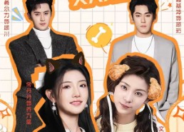 短剧《顾少，夫人又在拆家啦（78集）》优质短剧全集免费在线播