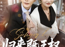 短剧《归来既王权（80集）》超火短剧免费在线播