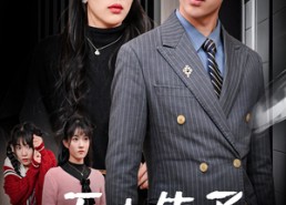 短剧《无中生子（30集）》短剧高清全集免费享