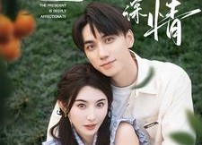 短剧《闪婚总裁太深情（93集）》短剧免费在线全集览