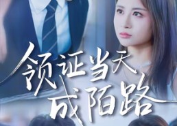 短剧《领证当天成陌路（39集）》热门短剧全集免费享