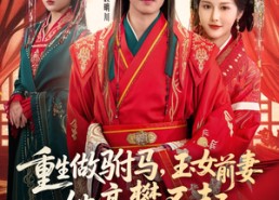 短剧《重生做驸马，玉女前妻她高攀不起（79集）》短剧全集免费畅快追