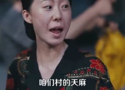 短剧《重回八零我建立了商业帝国（95集）》短剧全集免费高清观看