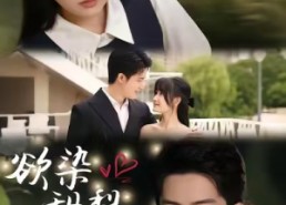 短剧《欲染甜梨（63集）》热门短剧完整版在线